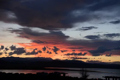 DSC_3328 (Large).JPG